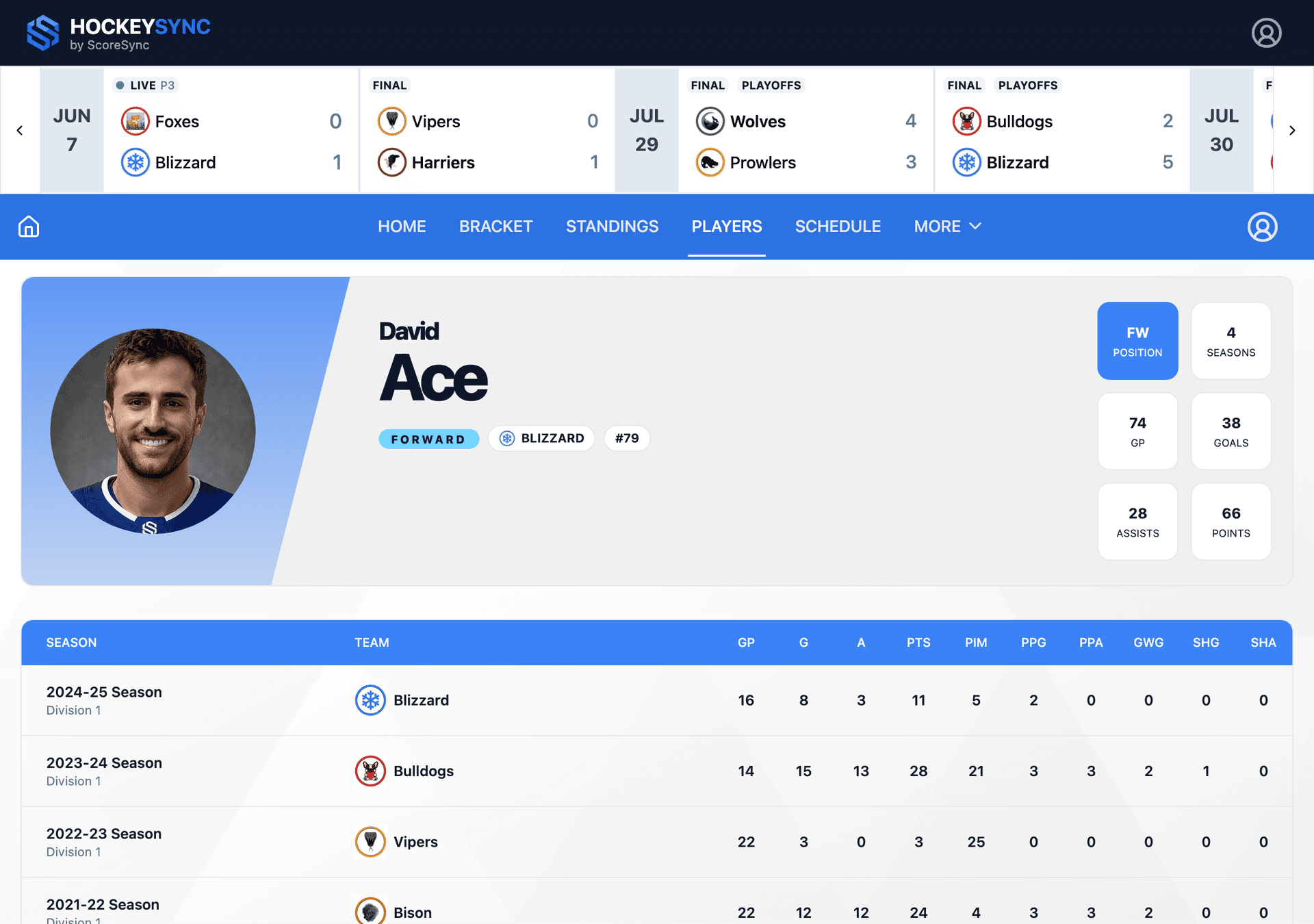 Player Profiles & Stats feature screenshot