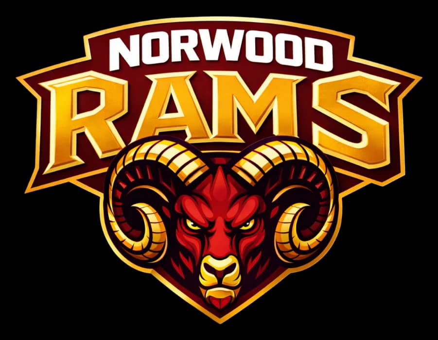 Team logo