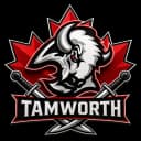 Tamworth Sabres logo