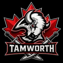 Tamworth Sabres logo